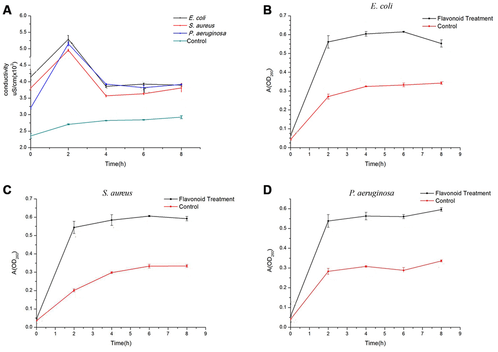 Effects of flavonoids in A. conyzoides on the conductivity of bacterial culture medium and the nucleic acid exudation in S. aureus, E. coli and P. aeruginosa. (A) Compared to the control group, flavonoids in A. conyzoides significantly elevated the culture medium conductivities of S. aureus, E. coli and P. aeruginosa to the peak after administrated for 2 hours. Such conductivities dropped to a relative steady status since the 4th hour. (B–D) The absorption value at 260 nm was recorded, which represents the nucleic acid exudation in bacteria. Upon the administration of flavonoids in A. conyzoides for 2 hours, the nucleic acid exudation in S. aureus, E. coli and P. aeruginosa was remarkably raised to the peak, followed by a relative steady status, respectively.