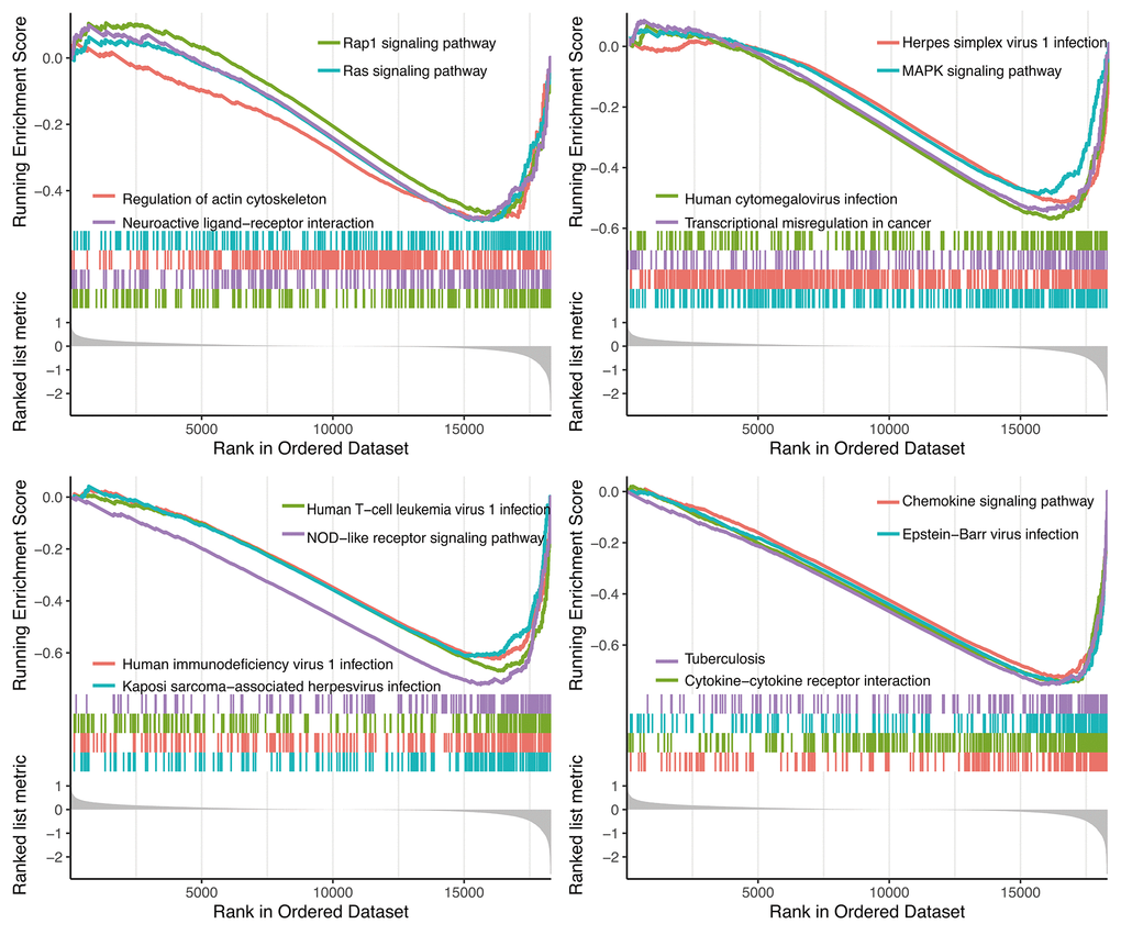 GSEA analysis.