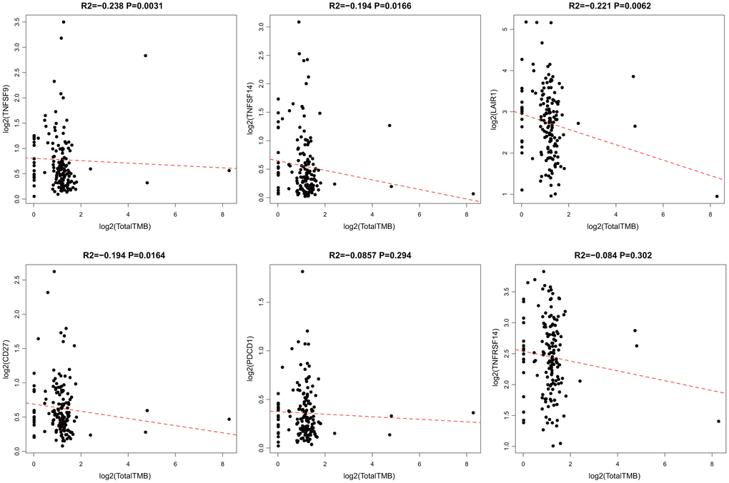 Pairwise Pearson correlation between immune markers and TMB in TCGA. Scatter plots of pairwise expression between ICGs. The Pearson correlation coefficient (R2) and corresponding P value are shown at the top of each plot.