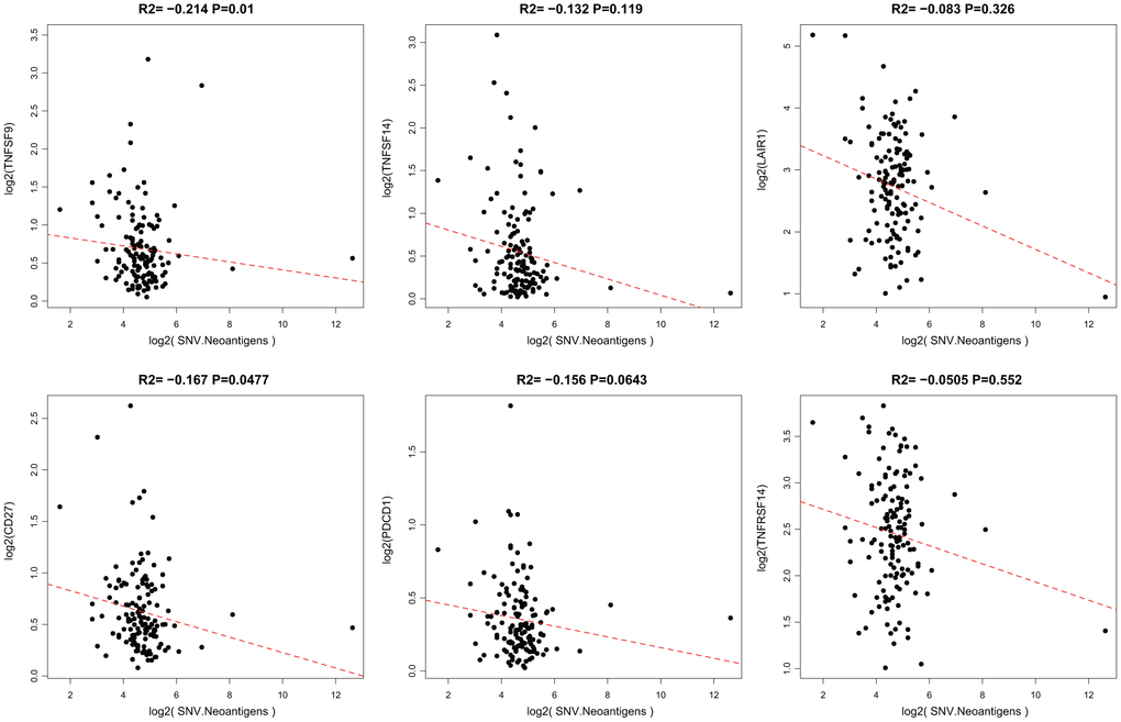 Pairwise Pearson correlation between immune markers and neoantigens in TCGA. The Pearson correlation coefficient (R2) and corresponding P value are shown at the top of each plot.