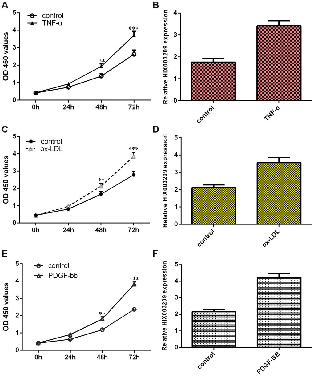 HIX003209 was upregulated in VSMCs induced by inflammatory mediators. (A) TNF-α promoted VSMC proliferation using CCK-8 method when compare to control group. (B) HIX003209 expression was upregulated in VSMCs induced by TNF-α when compare to control group. (C) ox-LDL induced VSMC growth using CCK-8 kit when compare to control group. (D) The expression of HIX003209 was determined with qRT-PCR analysis. (E) PDGF-BB enhanced VSMCs proliferation using CCK-8 kit when compare to control group. (F) The expression of HIX003209 was determined with qRT-PCR analysis. *p