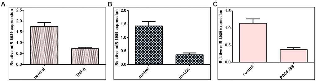 miR-6089 was downregulated in VSMCs induced by inflammatory mediators. (A) miR-6089 expression was downregulated in VSMCs induced by TNF-α compared to control group. (B) ox-LDL can inhibit miR-6089 expression in VSMCs using qRT-PCR analysis compared to control group. (C) The expression of miR-6089 expression in VSMCs was determined by qRT-PCR assay. U6 was used as internal control.