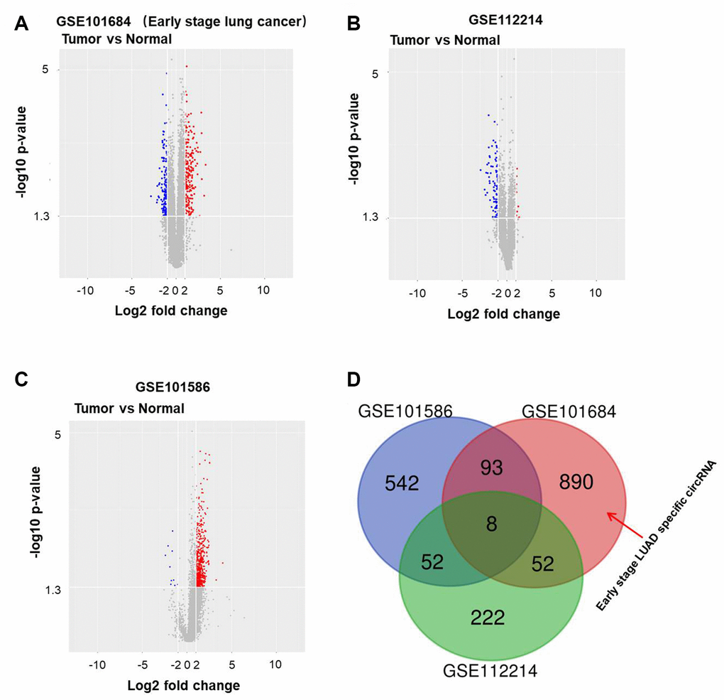 Differentially expressed circRNAs in NSCLC. Volcano plots illustrating the circRNAs differentially expressed in NSCLC detected in the (A) GSE101684, (B) GSE112214 and (C) GSE101586 datasets. Red indicates a higher expression level, while blue indicates a lower expression level. (D) Venn diagram showing the overlap among the differentially expressed circRNAs in the three datasets. In GSE101684, 890 circRNAs were related to NSCLC.