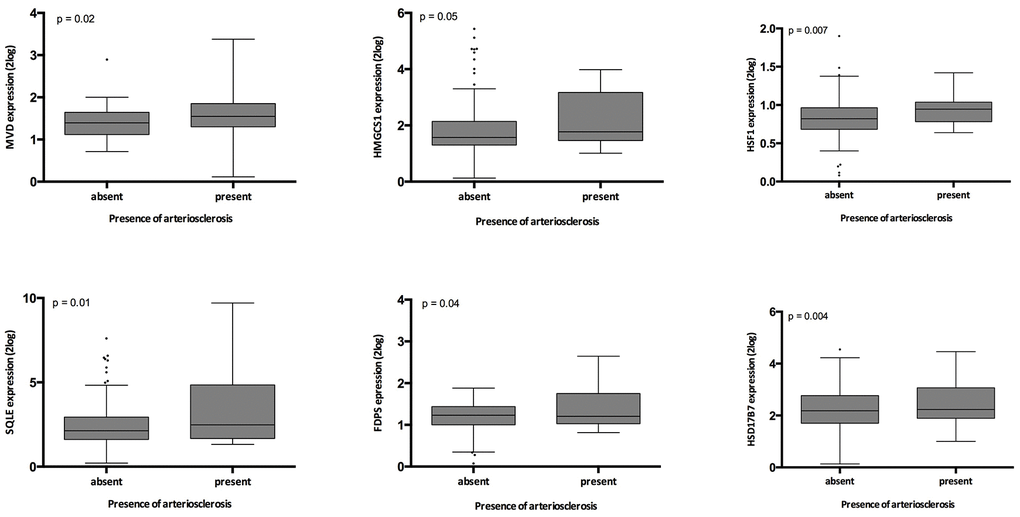 Relation between intrarenal arteriosclerosis and gene expression in the validation cohort. The p-values represent non-parametric ANOVA. The horizontal lines within the boxes indicate means, the upper and lower ends of the boxes indicate standard deviations, and the whiskers indicate 95th percentiles.