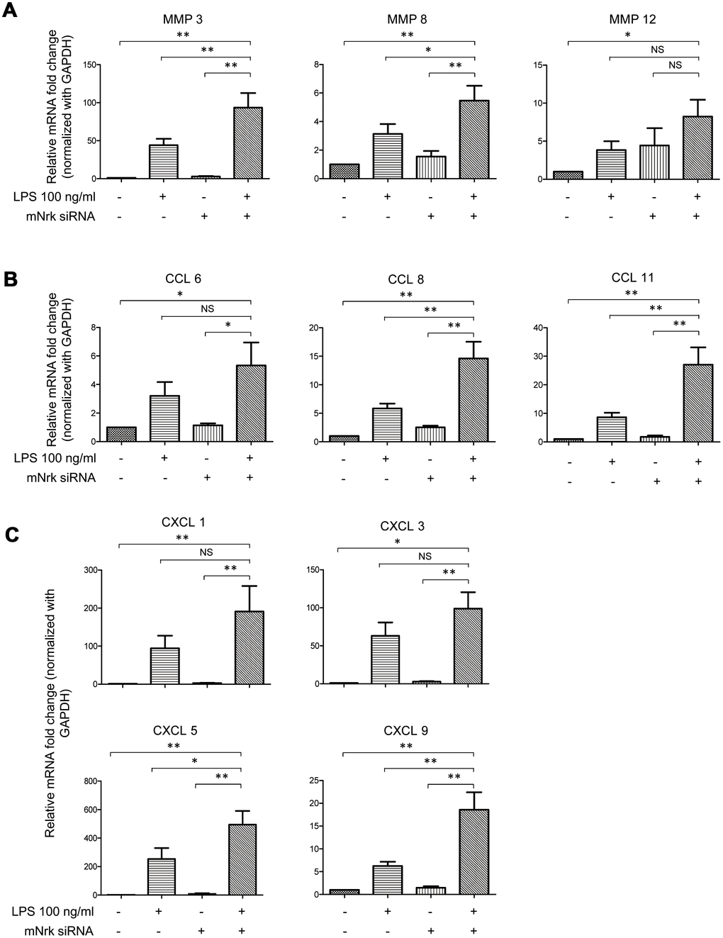 Expression of MMPs and chemokines in LPS- and Nrk-siRNA treated mVSMCs. mVSMCs were serum starved (0.5% FBS in DMEM) for 24 h and then treated with LPS (100 ng/mL) for 24 h. Cells were further transfected with 20 nM of negative control or mNrk siRNA for an additional 48 h. Expression of (A) MMP3 (n=13), MMP8 (n=13) and MMP12 (n=14); (B) CCL6 (n=14), CCL8 (n=14) and CCL11 (n=14); (C) CXCL1 (n=14), CXCL3 (n=11), CXCL5 (n=10) and CXCL9 (n=13) was determined by qPCR. Gene expression results of qPCR analysis were normalized to both control cells as well as GAPDH. Scale bars: means ± SD. *, p p p 