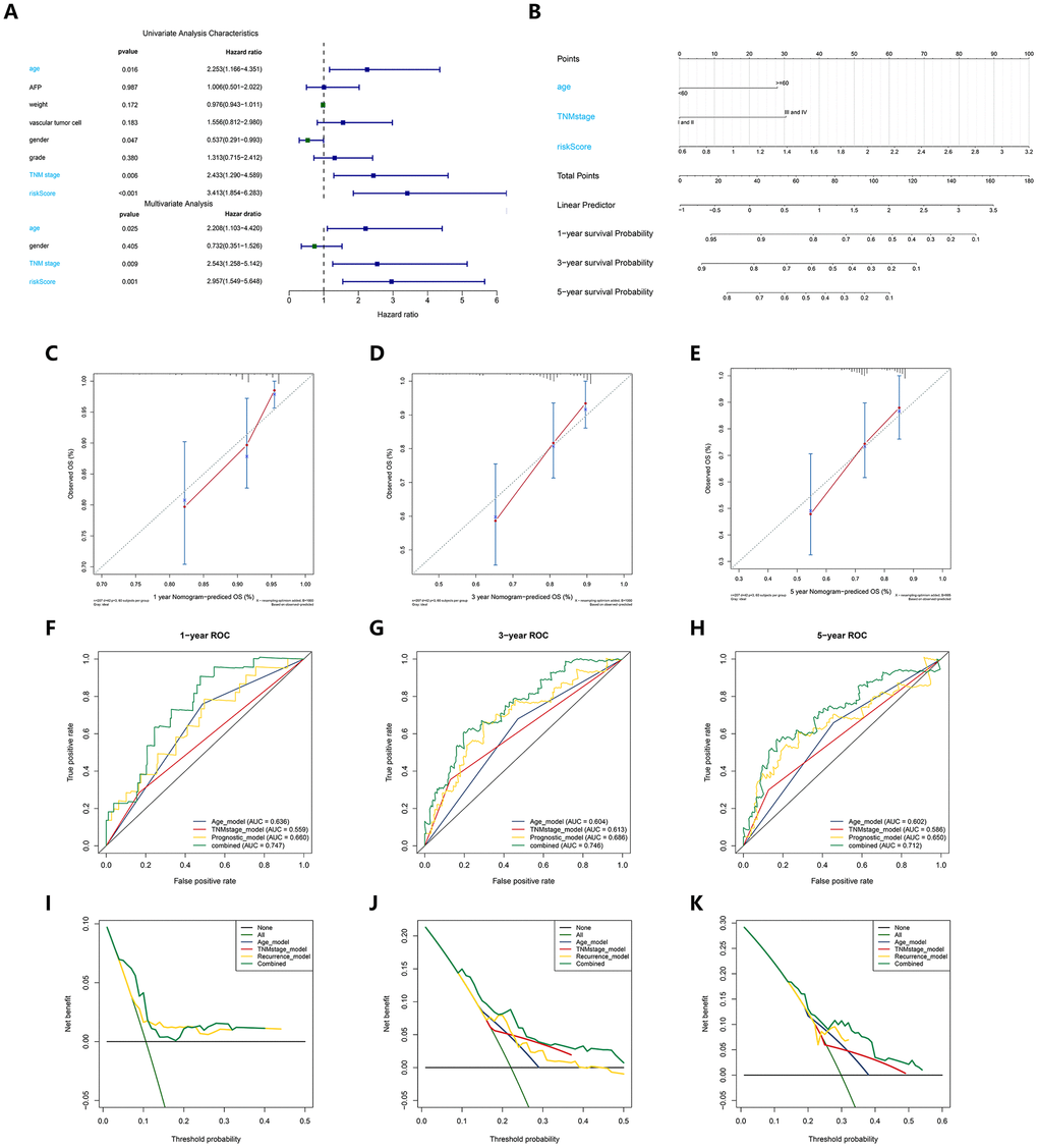 Construction and validation of a recurrence nomogram. (A) Univariate and multivariate Cox regression suggested the recurrence model, TNM stage and age were independent prognostic predictors. (B) The nomogram for recurrence prediction in HCC patients at 1, 3, and 5 years. (C–E) Calibration curves of nomogram for recurrence prediction at 1, 3, and 5 years. (F–H) ROC curves to evaluate the predictive performance of nomogram. (I–K) DCA curves to evaluate the clinical decision-making benefits of nomogram.