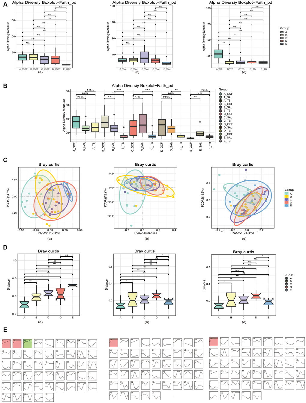 Diversities of the oral microbiota. (A) The α-diversity indexes of bacteria changed with age in various oral sites. (B) The α-diversity indexes of bacteria diverged in different oral sites within each age group. (C) The β-diversity indexes of microbiota changed with age, and the pattern varied in various oral sites. (D) The first principal component analysis revealed microbial changes with age. (E) STEM analysis of the trends of bacterial change over time. In (A) and (C–E), (a) GCF; (b) SAL; (c) TB.