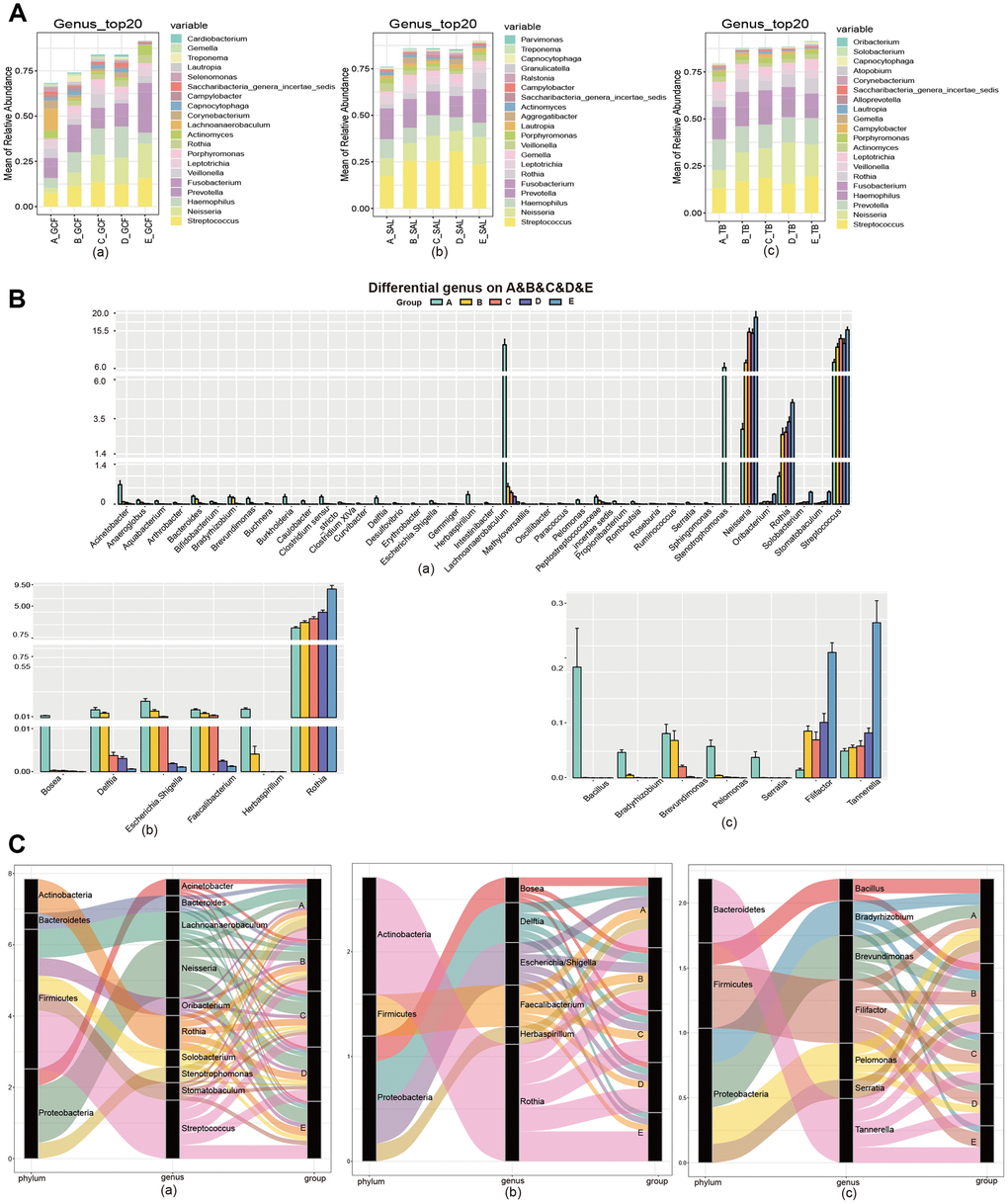 The community variation of oral microbiota with age. (A) The top 20 genera of the microbiota from the GCF, SAL and TB sites. (B) The genus gradually increased or decreased their contents with age. (C) The phyla associated with the different genera with high abundance. (a) GCF; (b) SAL; (c) TB.
