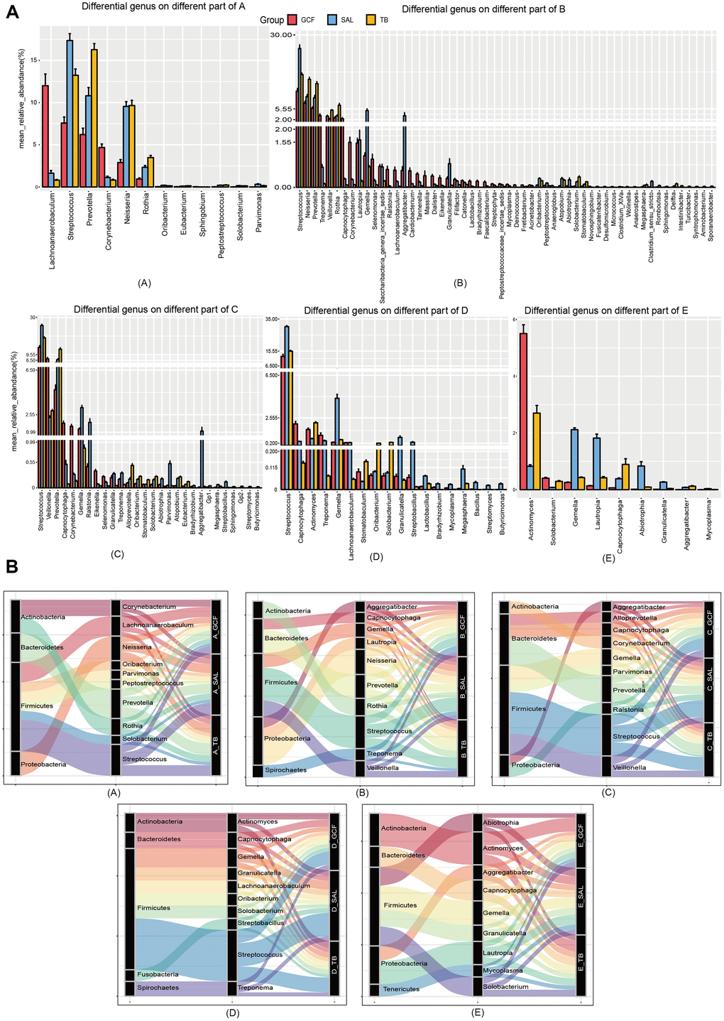 The community variation of oral microbiota with age. (A) The genera differentially distributed in GCF, SAL and TB. (B) The phyla associated with the abundant genera differently distributed in the three oral sites. (A–E), age groups.