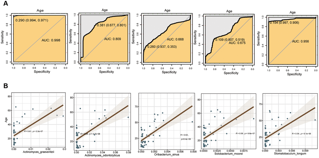 Evaluation of the differential bacterial species of GCF with the random forest model. (A) Accuracy rate of distinction. (B) Fitting bacteria species to age groups.