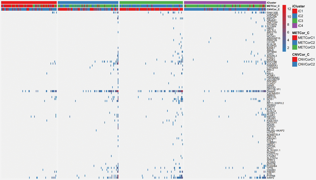 Differentially mutated genes among the SKCM subtypes.