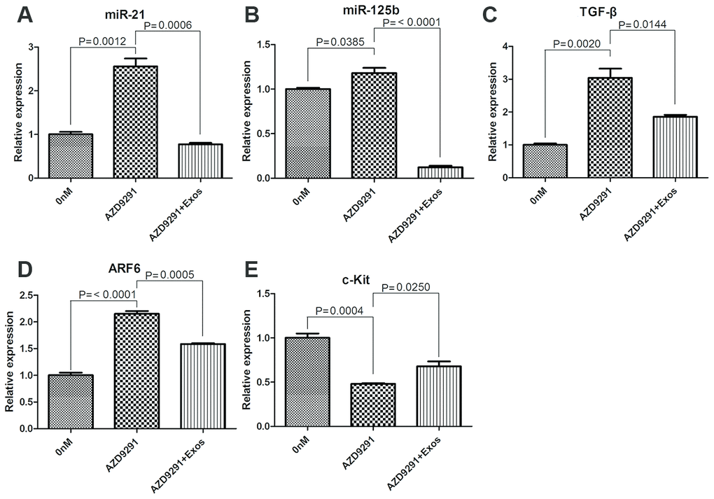 qRT-PCR determined the relative expression of miR-21 (A), miR-125b (B), TGFβ (C), ARF6 (D) and c-Kit (E).