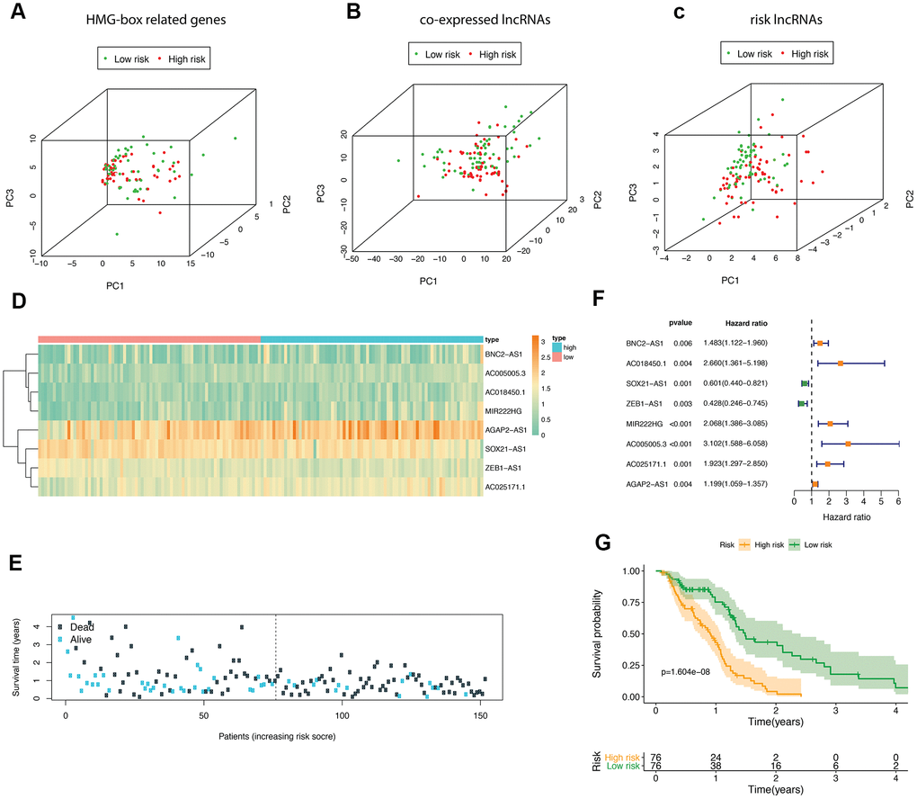 The analyses of HMG-box related DEmRNAs co-expressed lncRNA. Principle component analysis (PCA) of HMG-box related DEmRNAs was shown in (A), PCA analysis for co-expressed lncRNA in (B); PCA analysis for risk lncRNA was shown in (C). (D) Heatmap of risk lncRNA among high and low risk groups. (E) The distribution of co-expressed lncRNA survival status and survival time in model group. (F) Forest plot drawing for the independent prognostic value of risk lncRNAs extracted from univariate Cox regression analysis. (G) The survival curves of GBM patients in model group.