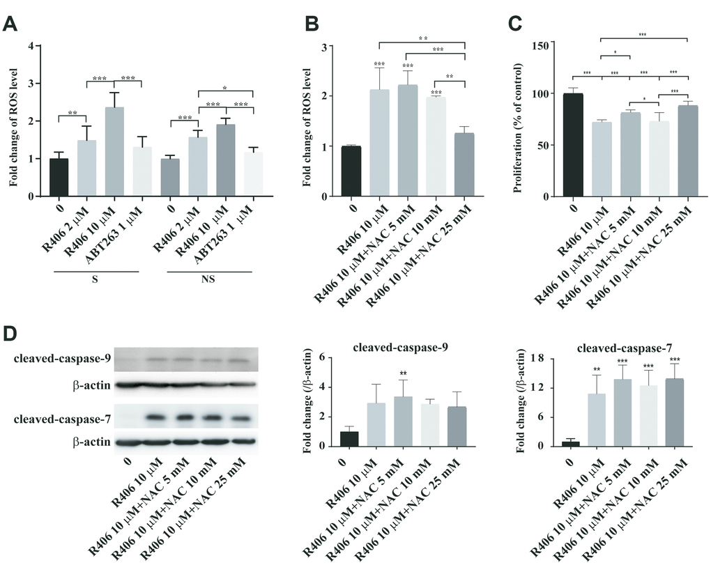 R406 induces ROS generation. (A) Senescent (S) and non-senescent (NS) HDFs were treated with DMSO or R406 (10 μM) or ABT263 (1 μM) for one day and then ROS levels were detected with DHR123 staining with normalization by DNA contents. (B) Senescent and non-senescent HDFs were treated with R406 in the presence or absence of NAC for one day and then ROS levels were measured after DHR123 staining by flow cytometry. (C) Senescent HDFs were co-treated with R406 and NAC for one day and then CCK-1 assay were conducted to investigate cell viability. n = 8 (D) Senescent HDFs were co-treated with R406 and NAC for one day and then western blot assays using antibodies against caspase-9, and -7 were conducted. *p