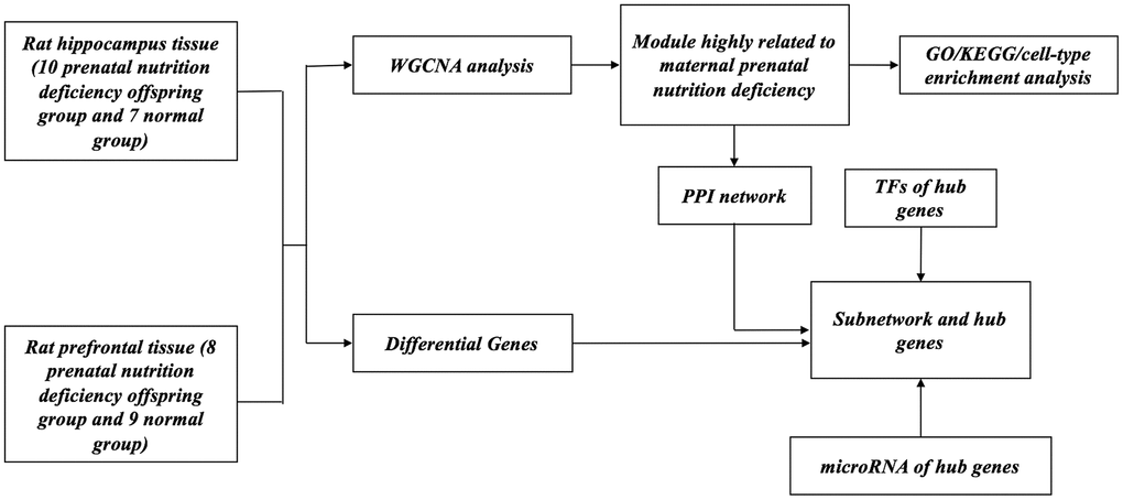 Flow chart of the analytic procedure.