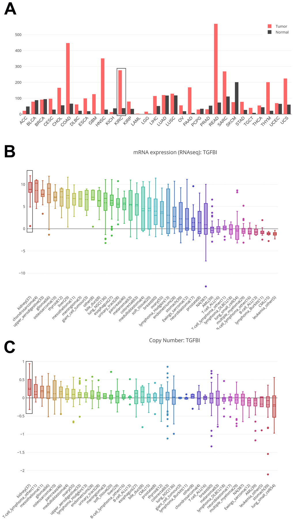 Comparison of TGFBI mRNA expression between tumors and normal tissues across all the types of cancers from TCGA data (A). Cancer Cell Line Encyclopedia analysis of TGFBI mRNA expression (B) and copy number variation level (C) in kidney (black boxes) and other cancer cell lines.