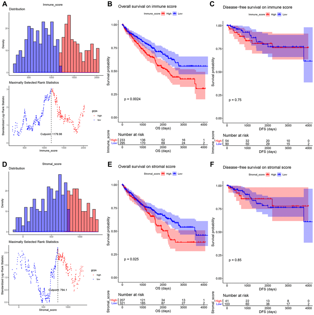 (A) An illustration of optimal cutoff identification for immune score. Survival analysis of the association between immune score and overall survival (B), disease-free survival (C) time in ccRCC. (D) An illustration of optimal cutoff identification for stromal score. Survival analysis of the association between stromal score and overall survival (E), disease-free survival (F) time in ccRCC.