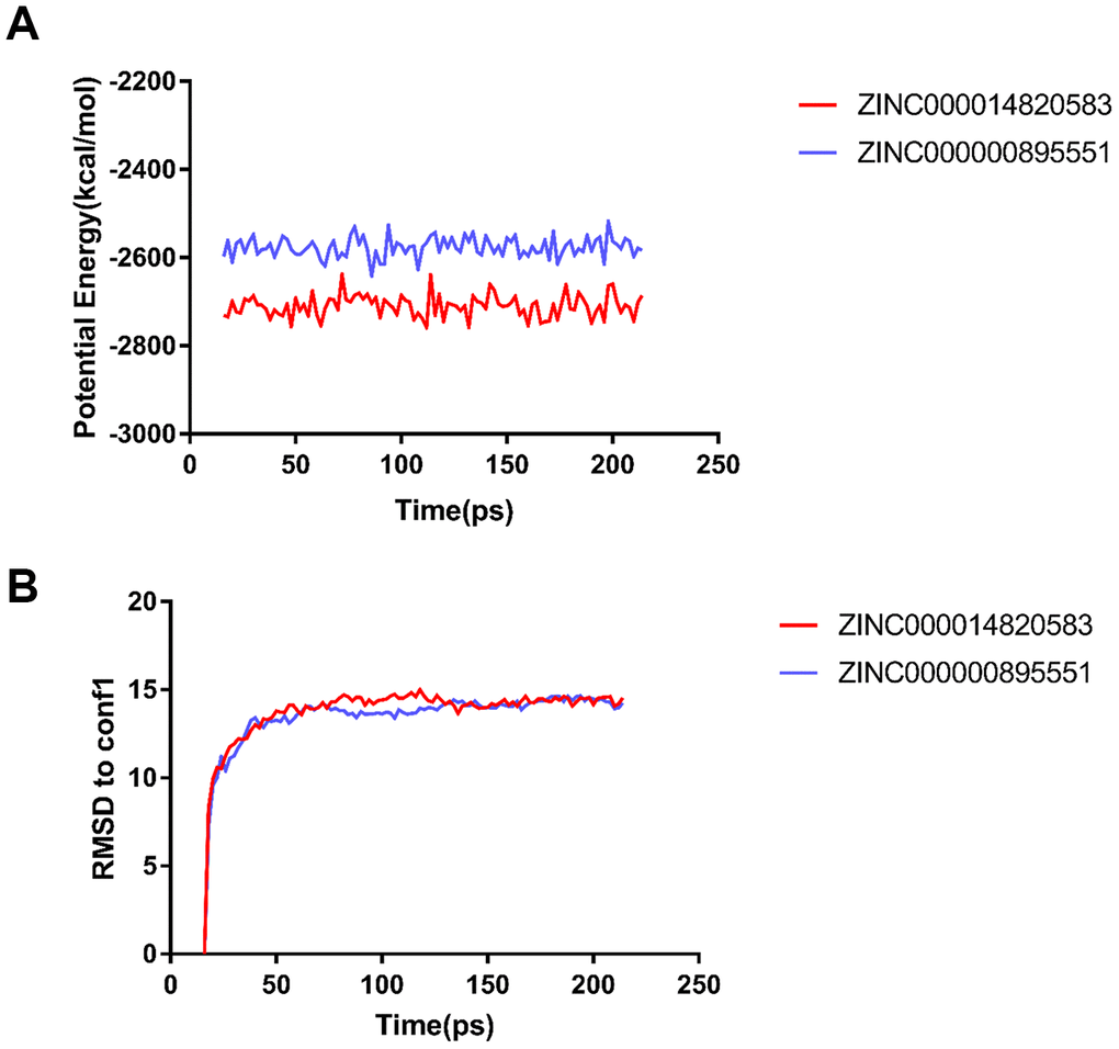 Results of molecular dynamics simulation of the compounds ZINC000014820583 and ZINC000000895551. (A) Potential energy. RMSD, root-mean-square deviation. (B) Average backbone root-mean-square deviation.