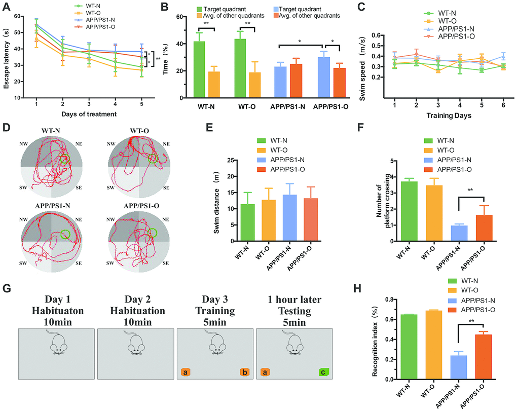 LEO improves learning and memory ability in APP/PS1 mice after neurodegeneration. Escape latency and escape velocity in the MWM test were recorded and statistically analyzed. (A) represents latency during the acquisition phase. Two-way repeated measures ANOVA revealed that APP/PS1 mice learned significantly slower than WT mice (F = 2.93, P = 0.0084). In APP/PS1 mice, the data revealed that the difference between LEO-treated mice and untreated APP/PS1 mice was significant (F = 2.96, P = 0.042). (B) represents percent time spent by mice in target quadrant and average of other quadrant and average of other quadrants during the probe trial. (C) represents swim speed during the acquisition phase. (D) represents video tracks of probe trial. (E) represents swim distance during the acquisition phase. (F) represents the number of crossing over the original platform location. (G) Schematic diagram of the Novel object recognition. (H) Recognition indices in mice were analyzed by one-way ANOVA (P ). Values are presented as means ± SD. *P P P 