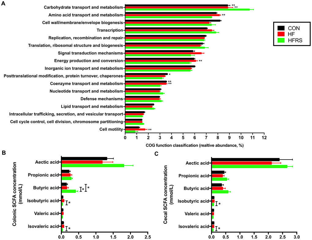 High-fat diet and RS2 supplemented with high-fat diet altered the microbial metabolism in aged mice. (A) Functional prediction analyses based on the occurrence of clusters of orthologous groups (COGs) of proteins in microbiota among the three groups (those with abundance >1% are presented). (B) Colon short-chain fatty acid levels regulated by HF and HFRS diets. (C) Cecal short chain fatty acid levels regulated by HF and HFRS diets. N=4 to 6 per group. Data are expressed as mean + SE. Differences were compared by one-way ANOVA among the three groups with Tukey’s multiple comparison posttests between two groups or Kruskal–Wallis H test with Dunn’s multiple comparisons posttests between two groups. * p