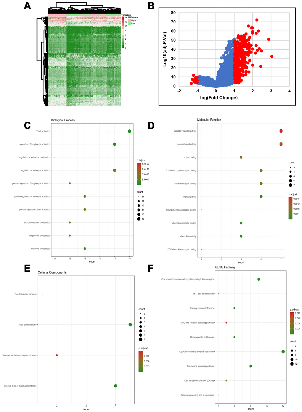 DEG profiles by TMEscore in HGSOC. (A) Heatmap of the DEGs between the top half (high score) vs. bottom half (low score) of TMEscore values. A |log(fold change)|≥1 and an adjusted p-value B) Volcano plot of gene expression profile data for patients with high and low TMEscores. (C–F) Functional enrichment analysis including Biological Process (BP), Cellular Components (CC), and Molecular Functions (MF) categories as well as KEGG pathways for 329 DEGs.