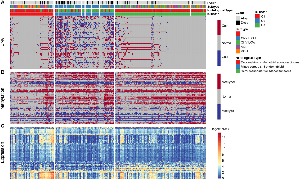 (A) Distribution pattern for CNV in iCluster. (B) Distribution for methylation level in iCluster. (C) Heatmap of differentially expressed genes in iCluster subtypes.