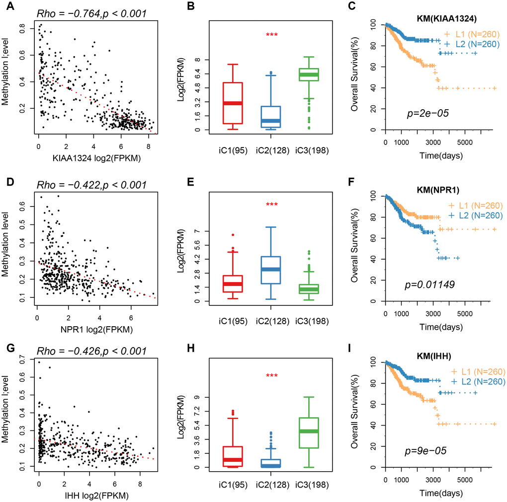 (A–C) A correlation of methylation of KIAA1324 gene with its expression, expression of iC subtypes, and the KM curve of the high/low expression groups. (D–F) A correlation of methylation of NPR1 gene with its expression, expression of iC subtypes, and the KM curve of the high/low expression groups. (G–I) The relationship between methylation of IHH gene with its expression, expression of iC subtypes, and the KM curve of the high/low expression group.