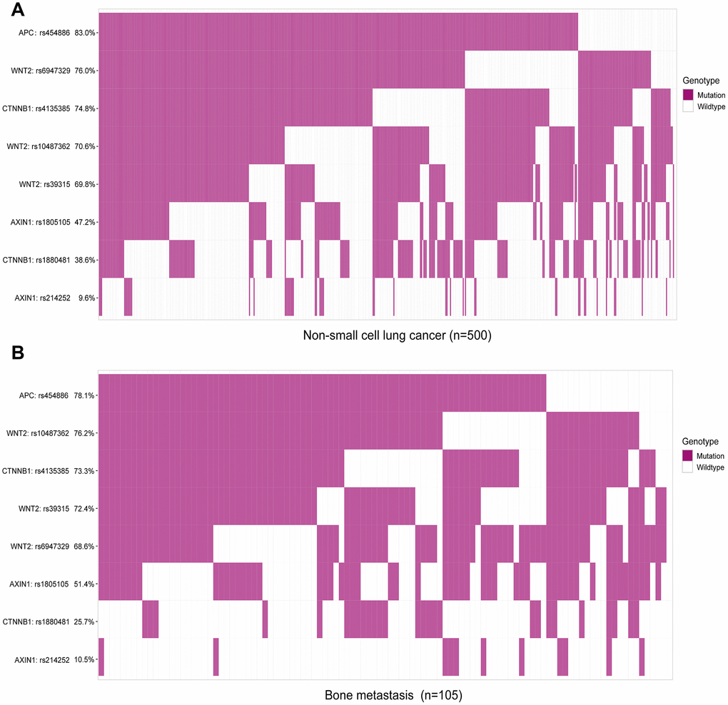 Mutational frequency rates of eight candidate single nucleotide polymorphisms in patients with non-small cell lung cancer (NSCLC) and bone metastasis. Classification analysis of SNP genotypes based on mutation and wildtype. (A) Analysis of SNPs in all 500 patients with NSCLC, including bone metastasis. (B) Analysis of SNPs in 105 patients with bone metastasis from NSCLC.