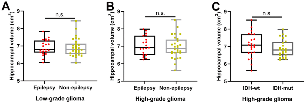 The effects of tumor-associated epilepsy and IDH-1 mutation status on hippocampal volume. (A, B) No significant difference in hippocampal volume between patients with and without tumor-associated epilepsy in the LGG (two-sample t test, p = 0.98) and HGG groups (two-sample t test, p = 0.61). (C) There was no significant difference in hippocampal volume between patients with IDH-1 mutations and patients with IDH-1 wild-type mutations in the HGG group (two-sample t test, p = 0.29). L: left hemisphere, R: left hemisphere.