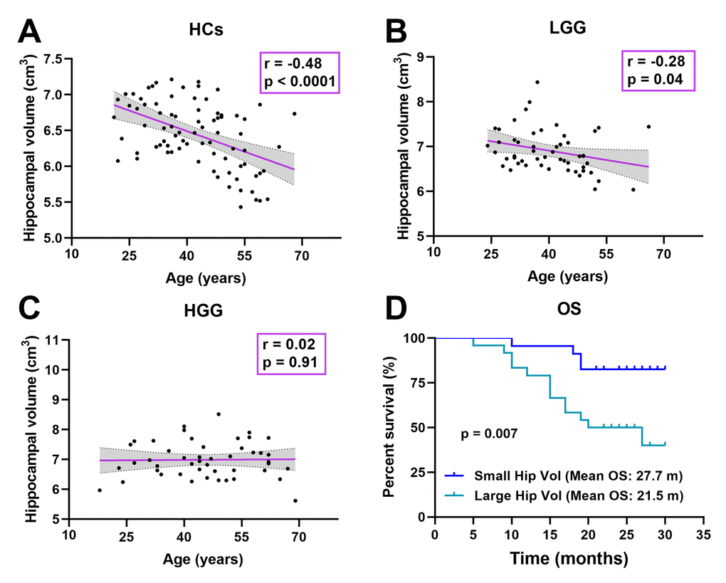 Correlation analysis. (A) Significant negative correlation between age and hippocampal volume in HCs (r = -0.48, p B) Significant negative correlation between age and hippocampal volume in the LGG group (r = -0.28, p = 0.04). (C) There was no significant correlation between age and hippocampal volume in the HGG group (r = 0.02, p = 0.91). (D) Kaplan-Meier curves and log rank tests showed that a large hippocampal volume (≥ 6.92 cm3, n = 24) (mean OS: 21.5 months, 95% CI: 18.1-24.9 months) was associated with a shorter OS than a small hippocampal volume (3, n = 23) (mean OS: 27.7 months, 95% CI: 25.5-29.8 months) in high-grade glioma patients (n = 47, p = 0.007).