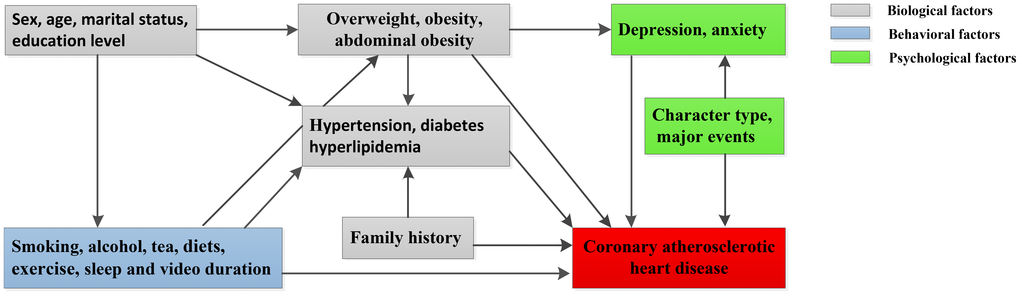 Hypothesized association between CHD and potential predictors in our study.