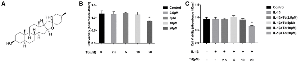 Effects of tomatidine on the viability of primary chondrocytes. (A) Chemical structure of tomatidine. (B, C) CCK-8 assay shows the viability of primary chondrocytes treated for 24 h with (B) 2.5, 5, 10 or 20 μM tomatidine alone or in combination with 10 ng/mlIL-1β (C). DMSO was used as control. As shown, treatments with 2.5, 5, or 10μM tomatidine or 10ng/mlIL-1β do not affect cell viability. Viability of primary chondrocytes is significantly affected by treatment with 20μM tomatidine in presence or absence of 10ng/mlIL-1β. The values are shown as means ± SD. *p 