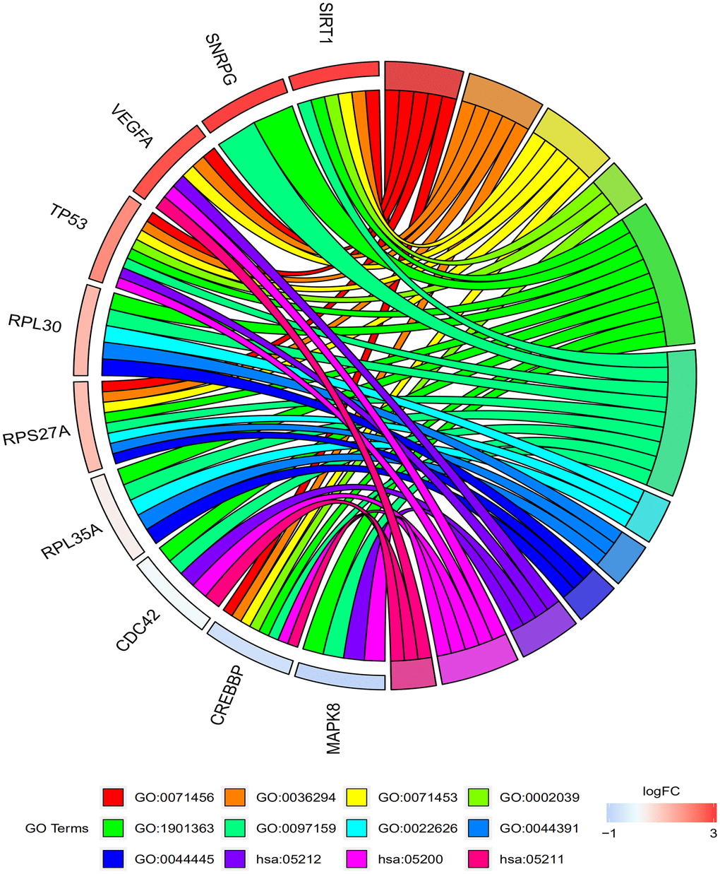 Functional and signaling pathway enrichment analyses of the top 10 genes in the protein-protein interaction network. The GO and KEGG pathway analysis of the top 10 genes identified by the PPI network are shown. The top 3 GO terms related to biological process are cellular response to hypoxia (GO:0071456), cellular response to decreased oxygen levels (GO:0036294), and cellular response to oxygen levels (GO:0071453). The top 3 GO terms related to molecular functions are P53 binding (GO:0002039), heterocyclic compound binding (GO:1901363), and Organic cyclic compound binding (GO:0097159). The top 3 GO terms related to cellular component are cytosolic ribosome (GO:0022626), ribosomal subunit (GO:0044391), and cytosolic part (GO:0044445). The top 3 KEGG pathways are pancreatic cancer (hsa:05212), pathways in cancer (hsa:05200), and renal cell carcinoma (hsa:05211).