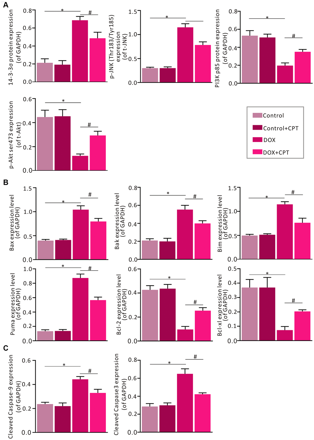 Statistical analysis of the relative protein expression of 14-3-3σ, PI3K p85, p-JNK, p-AKT, cleaved caspase-9, cleaved caspase-3, Bax, Bak, Bim, PUMA, Bcl-xl, and Bcl-2. Semi-qualification of 14-3-3σ, PI3K p85, p-JNK and p-AKT (A). Semi-qualification of Bax, Bak, Bim, PUMA, Bcl-xl, and Bcl-2 (B). Semi-qualification of cleaved caspase-9 and cleaved caspase-3 (C). Both GAPDH and PCNA were used as internal reference. *P#P