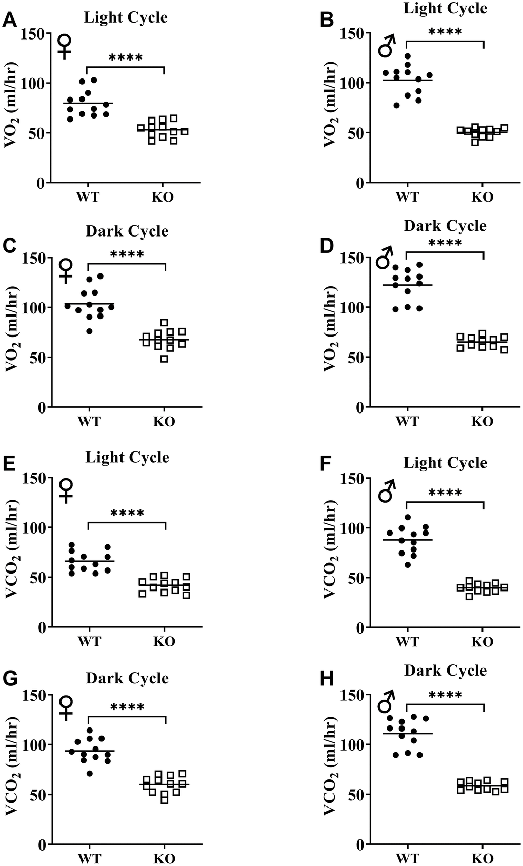 GH-deficiency decreases absolute VO2 and VCO2. VO2 (A–D) and VCO2 (E–H) values measured on light and dark cycles were averaged. WT female n=12, KO female n=12, WT male n=12, KO male n=11. Each bar represents mean. Statistical analysis was performed by unpaired Student’s t-test with Welch’s correction; ****p