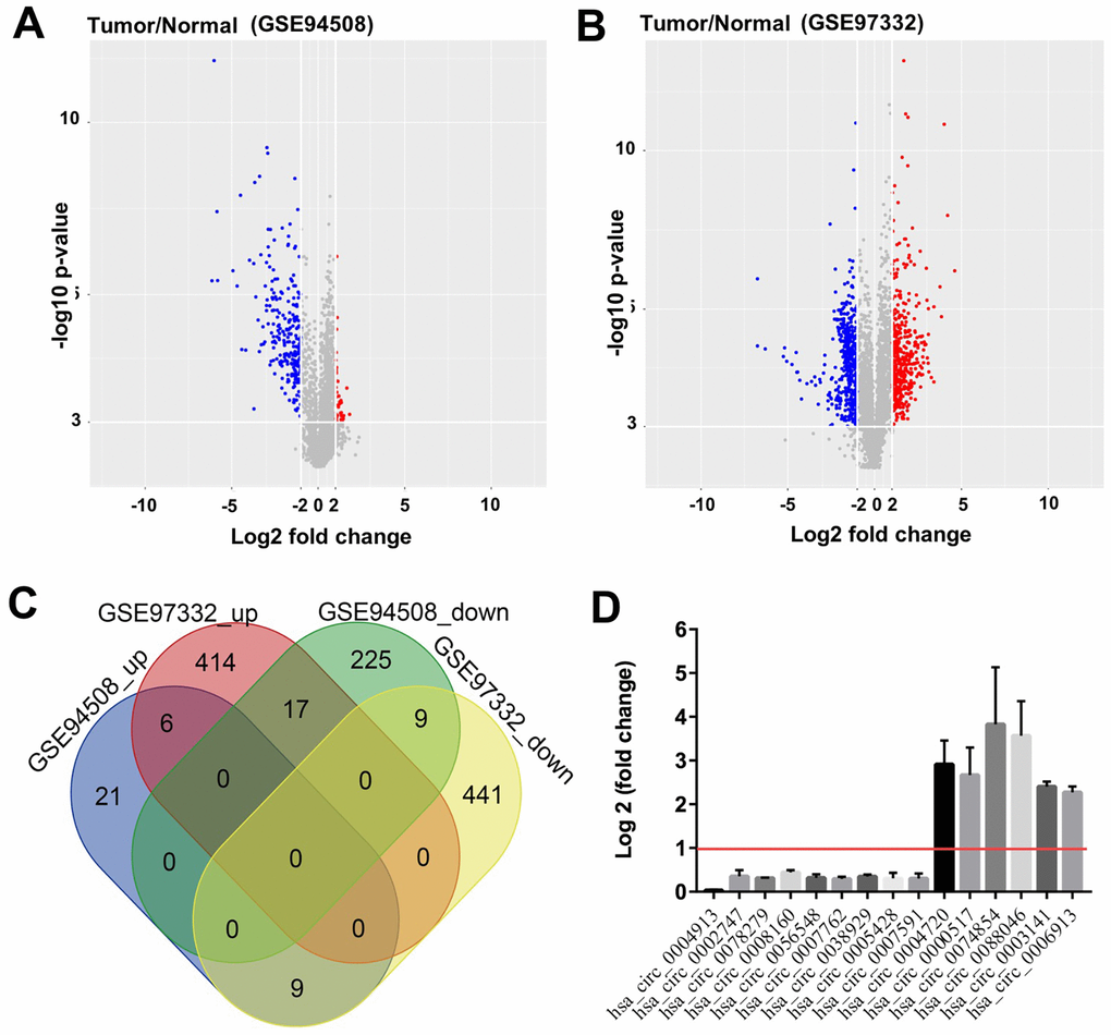 Identification of DEcircRNAs in HCC. Identification of DEcircRNAs in two GEO datasets using (A) Volcano plot of DEcircRNAs in GSE94508, and (B) Volcano plot of DEcircRNAs in GSE97332. High expression of DEcircRNAs is highlighted in blue, while low expression of DEcircRNAs is highlighted in red; P-value  3) and |log2 Fold Change| > 2 were set as thresholds. (C) DEcircRNAs from the two GEO datasets (GSE94508 and GSE97332) analyzed using Venn diagram. (D) 9 downregulated overlapping DEcircRNAs, and 6 upregulated overlapping DEcircRNAs were identified using R language.