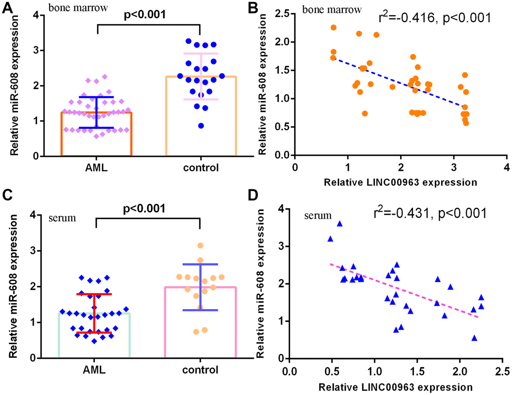 miR-608 levels in AML specimens. (A) The expression of miR-608 in the bone marrow of AML cases and controls was measured by RT-qPCR. (B) Pearson’s correlation analysis indicated that LINC00963 was negatively correlated with miR-608 in the bone marrow of AML samples. (C) miR-608 levels were downregulated in the serum of AML cases compared with controls. (D) Pearson’s correlation analysis sowed that LINC00963 was negatively correlated with miR-608 in the serum of AML samples. U6 was used as the internal control.