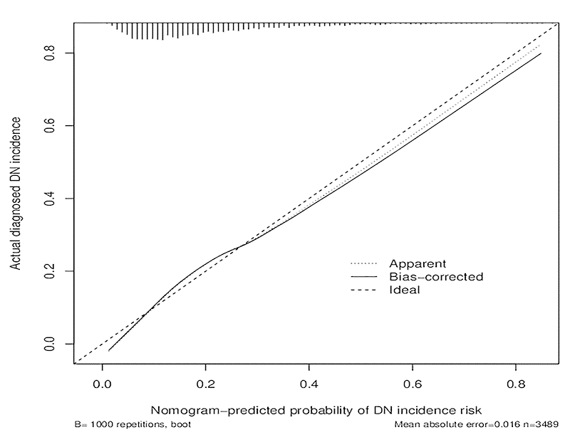 Calibration curves of the DN incidence risk nomogram prediction in the cohort. The x-axis represents the predicted DN incidence risk. The y-axis represents the actual diagnosed DN. The diagonal dotted line represents a perfect prediction by an ideal model. The solid line represents the performance of the nomogram, of which a closer fit to the diagonal dotted line represents a better prediction.