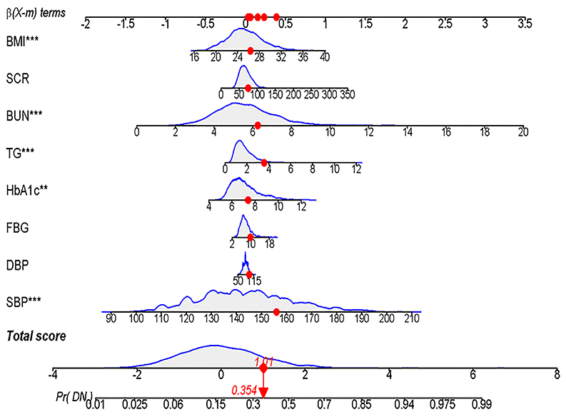 Dynamic Nomogram. A T2DM patient was randomly selected from the population, and the DN incidence of the patient was predicted based on the 8 characteristic indicators of the nomogram.