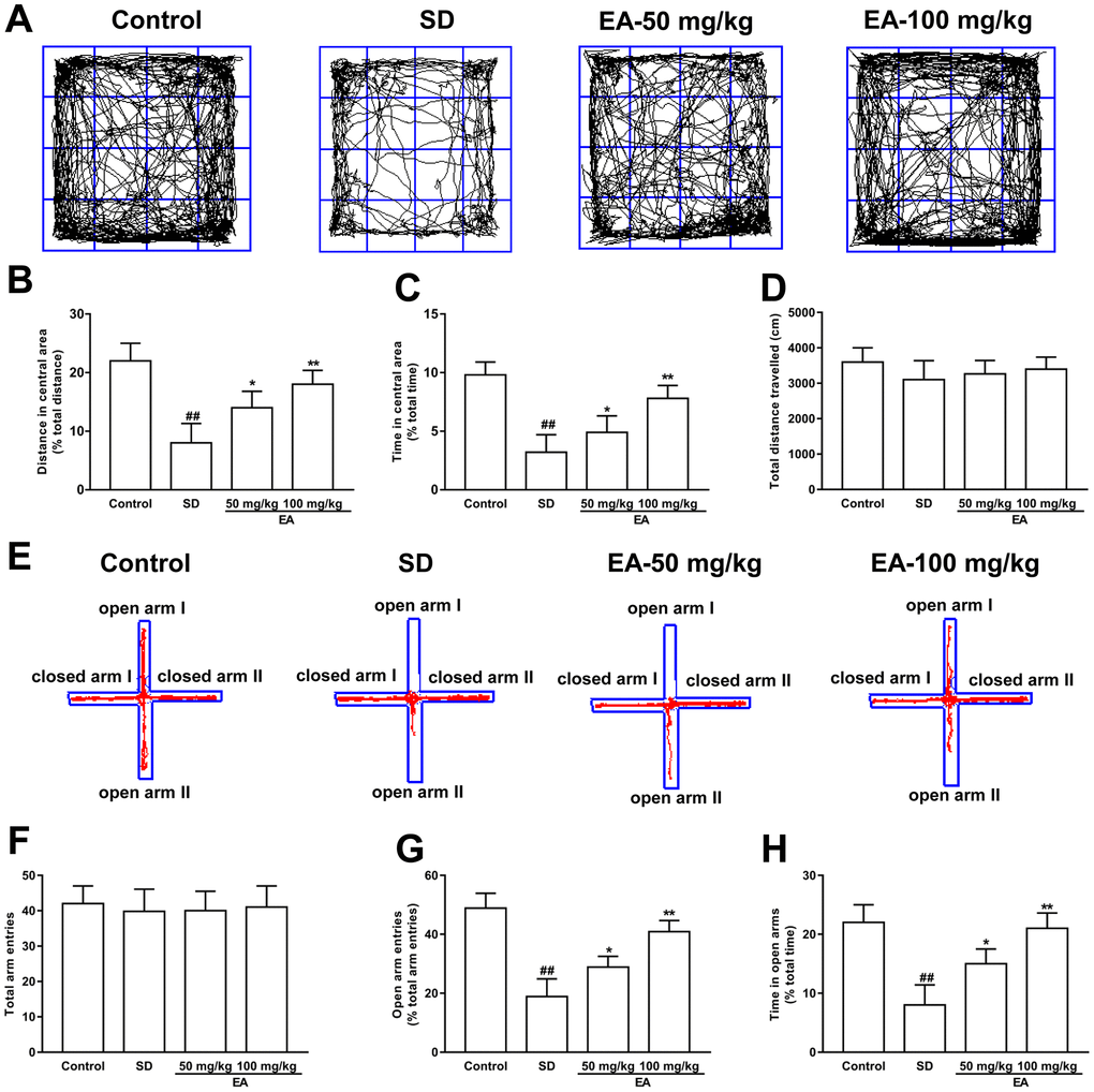 Effect of CL on sleep deprivation induced anxiety-like behaviors. (A) Sample traces of locomotor activity in the open field test. (B) The total distance traveled and (C) time spent in the center area. (D) The total distance traveled (during the 15-minute test) was summarized. (E) Sample traces of locomotor activity in the elevated plus maze test. (F) The total arm entrances. (G) The entrance into the open arms and (H) time spent in the open arms. Data values were expressed as the mean ± SEM (n=12), ##P *P **P 