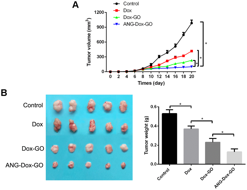 Angiopep-2 polypeptide-modified and doxorubicin-loaded graphene oxide (ANG-Dox-GO) exhibited better anti-tumor effect of glioma xenograft mice. (A) The tumor volumes of mice with different treatments, including PBS (control), Dox (2 mg/kg), Dox-GO (containing 2 mg/kg of Dox), and ANG-Dox-GO (containing 2 mg/kg of Dox), respectively, every two days for 20 days. (B) The tumor weights of mice with different treatments, including PBS (control), Dox (2 mg/kg), Dox-GO (containing 2 mg/kg of Dox), and ANG-Dox-GO (containing 2 mg/kg of Dox), respectively, on 20 days. *P 