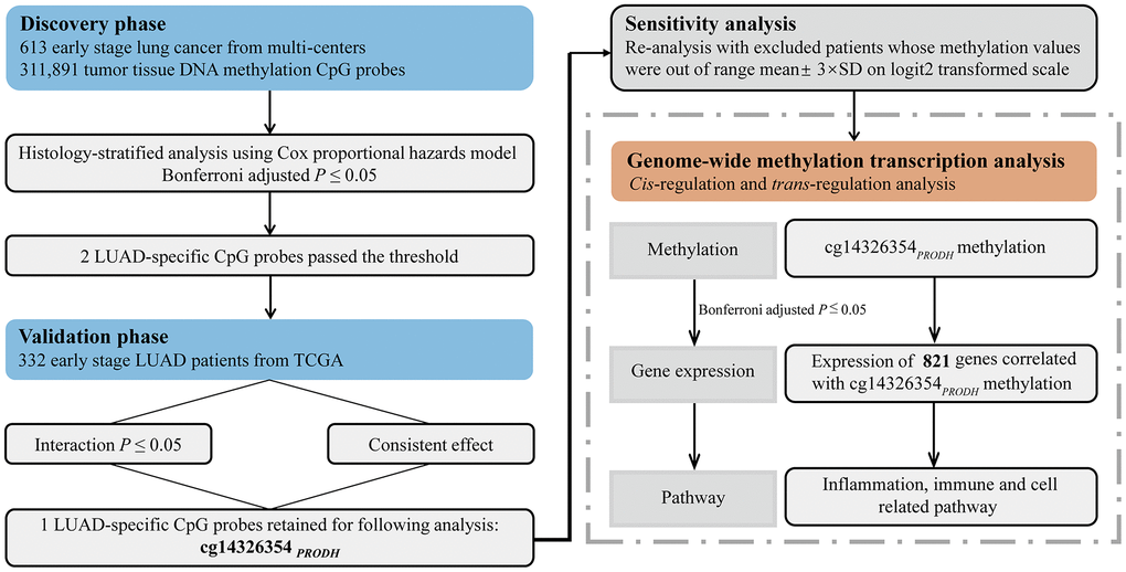 Flow chart of study design and statistical analyses.