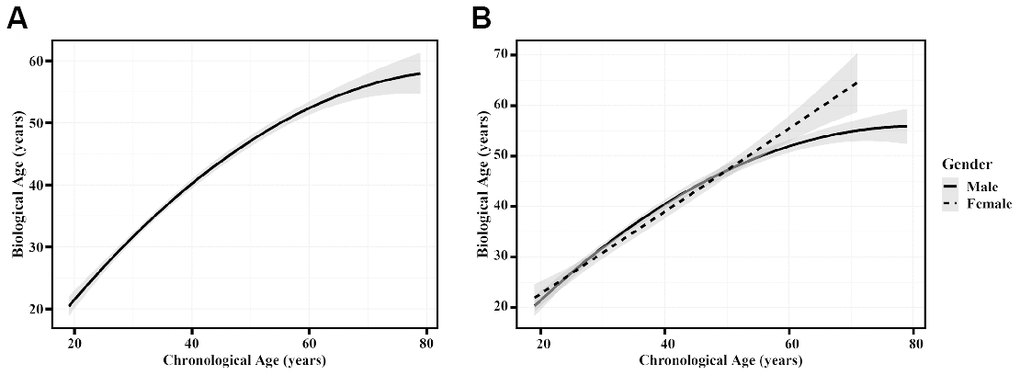 The correlation between chronological age and biological age. (A) The model performance based on the validation set. (B) The model performance presented by sex in the validation set. Dotted and solid curves were fitted to describe correlations between biological age and chronological age in females and males, respectively. The shade region was a pointwise 95% confidence interval.