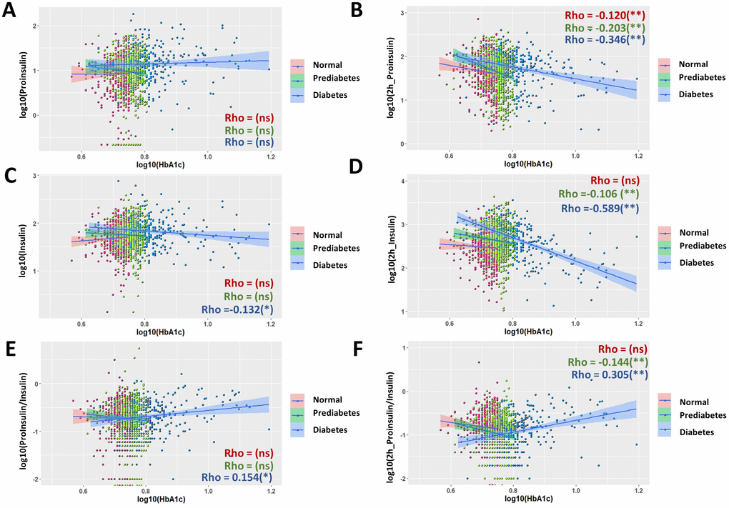 Nonuniform correlations of proinsulin, insulin and P/I ratio with fasting hemoglobin A1C (HbA1c) in normal, prediabetic and diabetic groups. (A) Fasting proinsulin levels were not significant associated HbA1c in all groups of normal, prediabetes and diabetes. Data from 1579 participants were log transformed, scatter plotted and linear modeled by using R language for each subgroup (normal in red, prediabetes in green and diabetes in blue). Association strength was evaluated by Spearman's association coefficient (Rho) using SPSS software: ns, not significant. Shaded line, linear regression with 95% of confidence interval (CI). (B) Negative association of proinsulin levels after 2 hours of glucose stimulation with fasting HbA1c. The association is stronger in diabetic group (Rho = 0.346) than in normal and prediabetic groups. (C) Fasting insulin levels had weak and negative association with fasting HbA1c in diabetic group but not normal and prediabetic groups. (D) Insulin levels after 2 hours of glucose stimulation had no correlation with fasting HbA1c in normal group, weak association in prediabetic group and close to strong association in diabetic group (Rho= -0.589). (E) Fasting P/I ratio and fasting HbA1c were weakly associated in diabetic group not but normal and prediabetic groups. (F) P/I ratio after 2 hours of glucose stimulation was moderately associated with fasting HbA1c in diabetic group, weakly in prediabetic group but not significant in normal group.