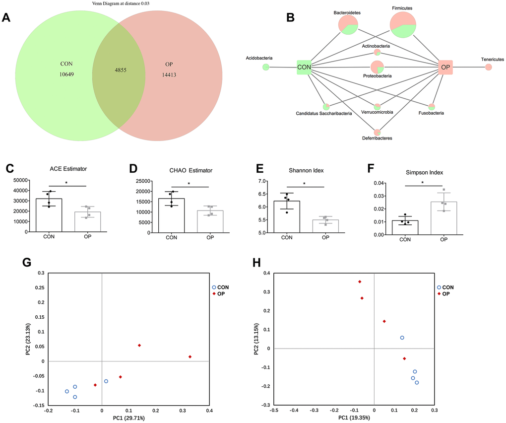 Venn diagram and microbial community structure assessment in the two groups. Number of common and specific OTUs for grouped samples with OTUs=0.03 (A). Comparison of common and specific microbiota at phylum level (B). Community richness assessment contains the ACE estimator (C) and the Chao estimator (D); community diversity assessment contains the Shannon index (E) and the Simpson index (F). Principal coordinate analysis of 16S rRNA sequences from all samples using unweight (G) and weight (H). Results were compared by unpaired t test with Welch’s correction, *P 