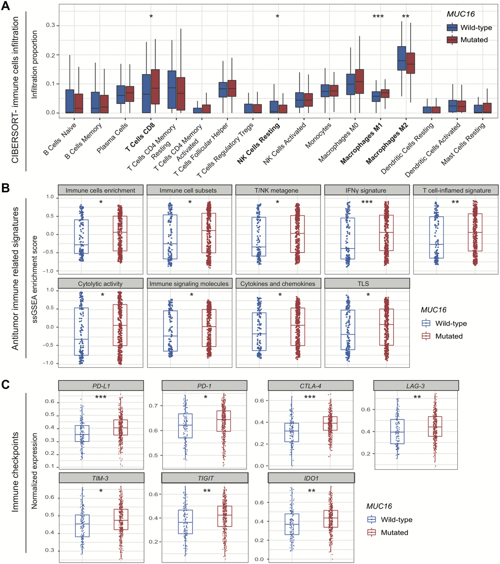 Association of MUC16 mutations with tumor microenvironment. (A) Distinct immune cells infiltration in MUC16 mutated and wild-type subgroups. (B) Distribution of immune-related signatures of samples stratified by MUC16 mutational status. (C) Distinct expression of immune checkpoints in MUC16 mutated and wild-type samples. * P P P 