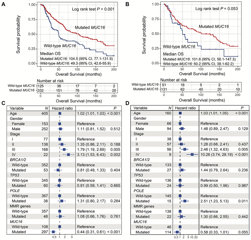 Correlation of MUC16 mutations with overall survival in 2 cohorts. (A, B) Kaplan-Meier survival analysis based on MUC16 mutational status (left: TCGA; right: ICGC). (C, D) Forest plot representation of association of MUC16 mutations with prognosis (left: TCGA; right: ICGC).