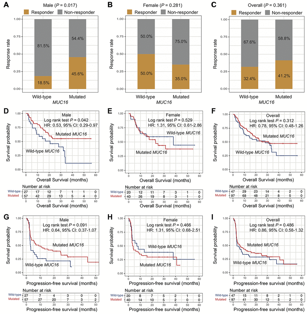 Association of MUC16 mutations with ICI therapy efficacy. (A–C) Association of MUC16 mutations with response rate to ICI therapy in male, female, and overall patients. (D–F) Overall survival plot of ICI treated patients stratified by MUC16 mutational status in male, female, and overall patients. (G–I) Progression-free survival plot of ICI treated patients stratified by MUC16 mutational status in male, female, and overall patients.