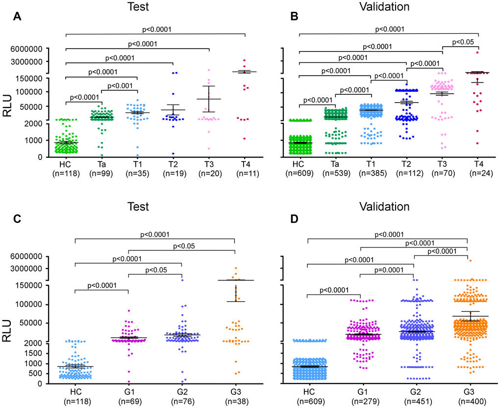 Urinary AG31 levels distinguish between stages and grades of bladder cancer. (A, B) Urinary AG31 levels of bladder cancer patients with different disease stages versus healthy controls in the test groups (A) and in the validation groups (B). (C, D) Urinary AG31 levels of bladder cancer patients with different grades versus healthy controls in the test groups (C) and in the validation groups (D). HC, healthy controls; RLU, relative light unit.