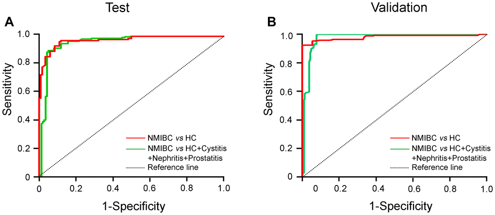 ROC curves for urinary AG31 levels in the detection of NMIBC patients. (A) ROC curves for patients with NMIBC versus the controls in the test groups. (B) ROC curves for patients with NMIBC versus the controls in the validation groups. Jagged curves denote ROC curves; diagonal lines represent reference lines. HC, healthy control; NMIBC, non-muscle-invasive bladder cancer.